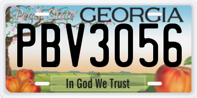 GA license plate PBV3056