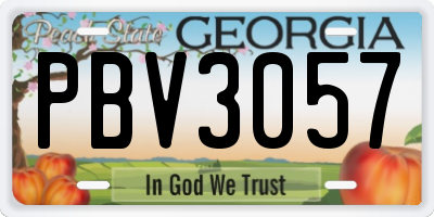 GA license plate PBV3057