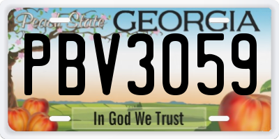 GA license plate PBV3059