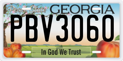GA license plate PBV3060