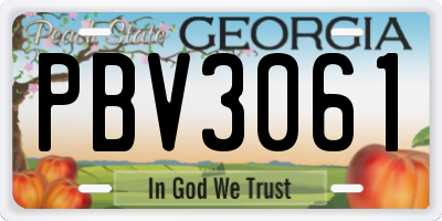 GA license plate PBV3061