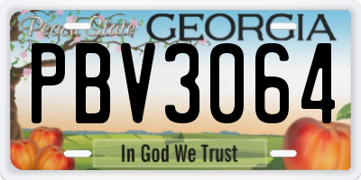 GA license plate PBV3064
