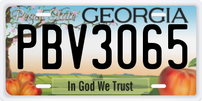 GA license plate PBV3065