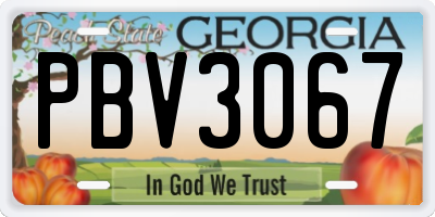 GA license plate PBV3067