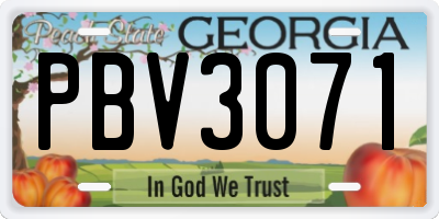 GA license plate PBV3071