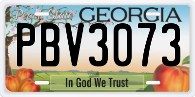 GA license plate PBV3073