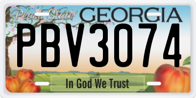 GA license plate PBV3074