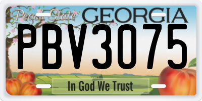 GA license plate PBV3075