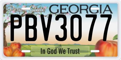 GA license plate PBV3077