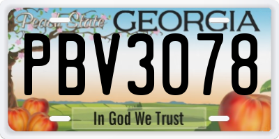 GA license plate PBV3078