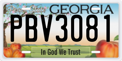 GA license plate PBV3081