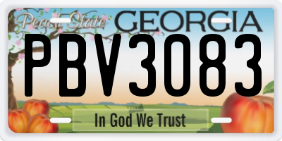 GA license plate PBV3083
