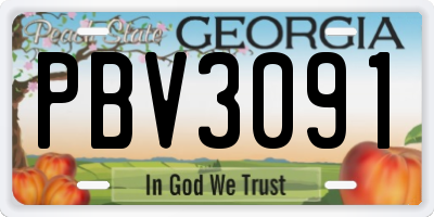 GA license plate PBV3091