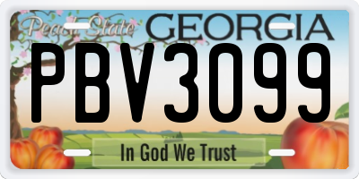 GA license plate PBV3099