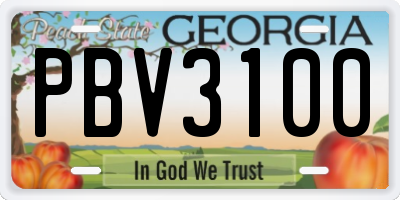 GA license plate PBV3100