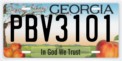 GA license plate PBV3101