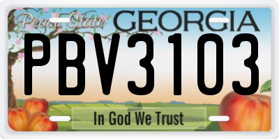 GA license plate PBV3103