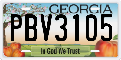 GA license plate PBV3105