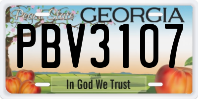 GA license plate PBV3107