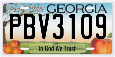 GA license plate PBV3109