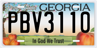 GA license plate PBV3110