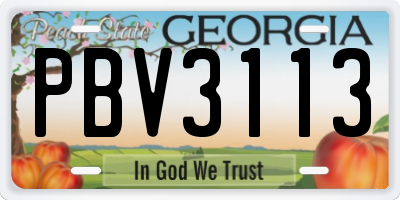 GA license plate PBV3113