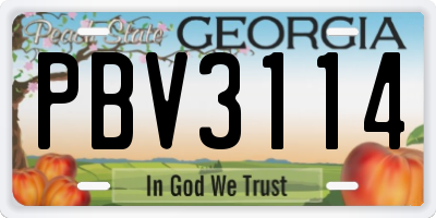 GA license plate PBV3114