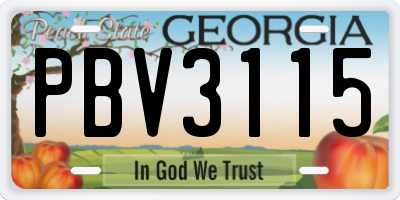 GA license plate PBV3115