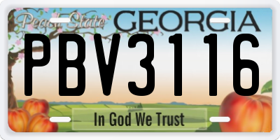 GA license plate PBV3116