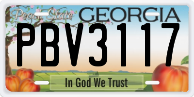 GA license plate PBV3117