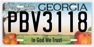 GA license plate PBV3118