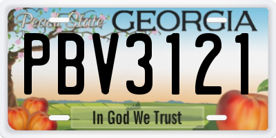 GA license plate PBV3121