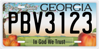 GA license plate PBV3123