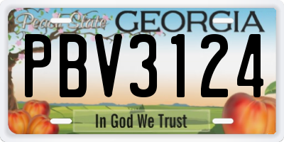 GA license plate PBV3124