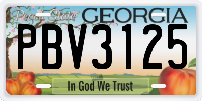 GA license plate PBV3125