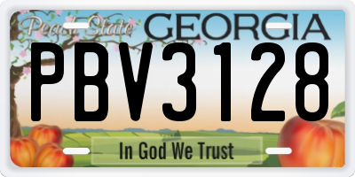 GA license plate PBV3128
