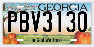 GA license plate PBV3130