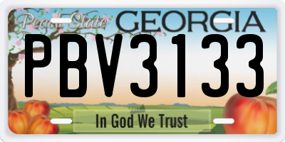 GA license plate PBV3133