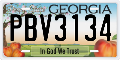 GA license plate PBV3134