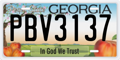 GA license plate PBV3137