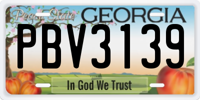 GA license plate PBV3139