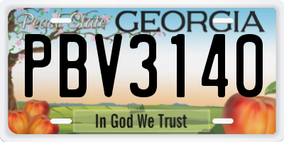 GA license plate PBV3140