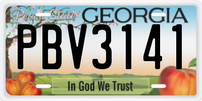 GA license plate PBV3141