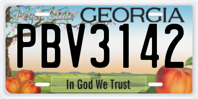 GA license plate PBV3142