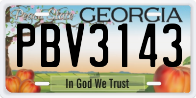 GA license plate PBV3143