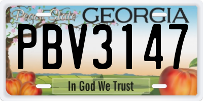 GA license plate PBV3147