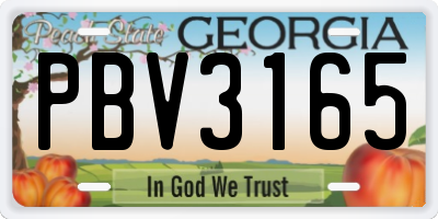 GA license plate PBV3165