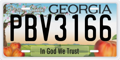GA license plate PBV3166