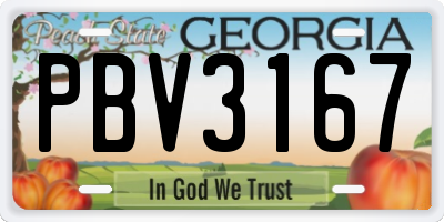 GA license plate PBV3167
