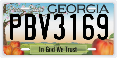 GA license plate PBV3169